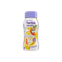 Fortini Smoothie Sommarfrukt 200 ml