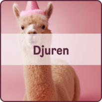 Till djur